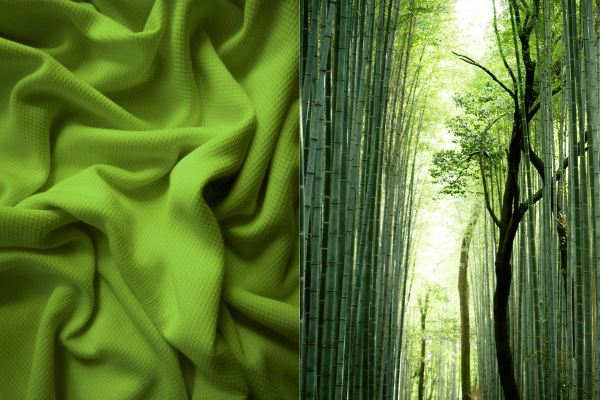 Bamboo Fabric – Eco-Friendly Sustainable Textile Material | Textile Trends Hub